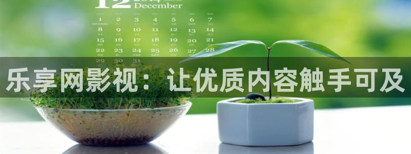 久久99视频只有精品：乐享网影视：让优质内容触手可及