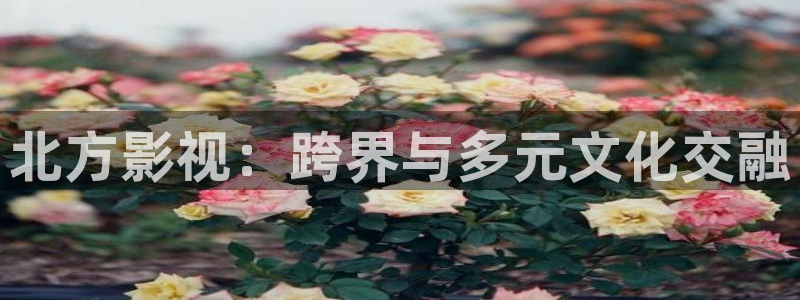 99视频看看：北方影视：跨界与多元文化交融