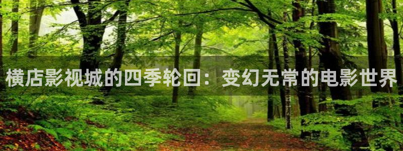 99视屏：横店影视城的四季轮回：变幻无常的电影世界