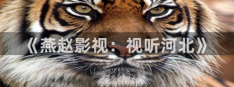 99视频精品免费视频：《燕赵影视：视听河北》