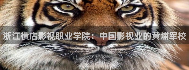 99视频在线免费视频：浙江横店影视职业学院：中国影视业的黄埔军校