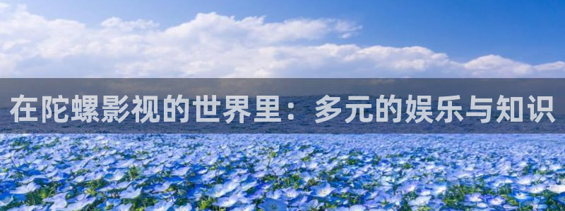 99视频污污：在陀螺影视的世界里：多元的娱乐与知识