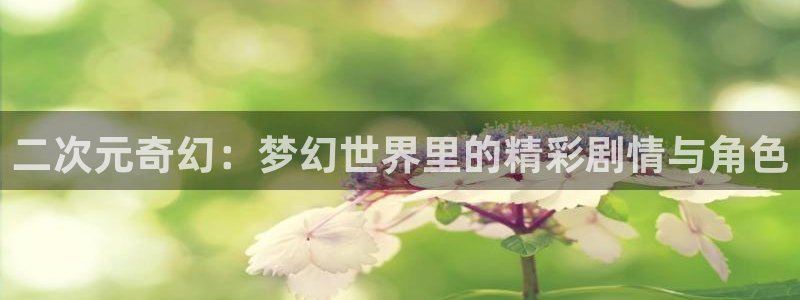 99视频精品免费视频：二次元奇幻：梦幻世界里的精彩剧情与角色