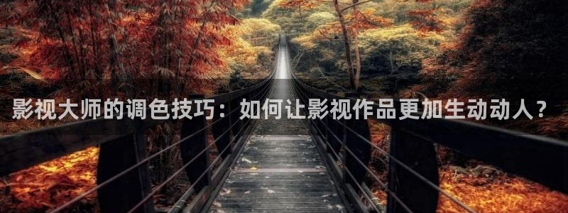 国产99视频精品：影视大师的调色技巧：如何让影视作品更加生动动人？