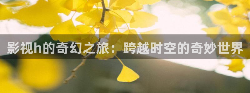 免费无遮挡99视频：影视h的奇幻之旅：跨越时空的奇妙世界