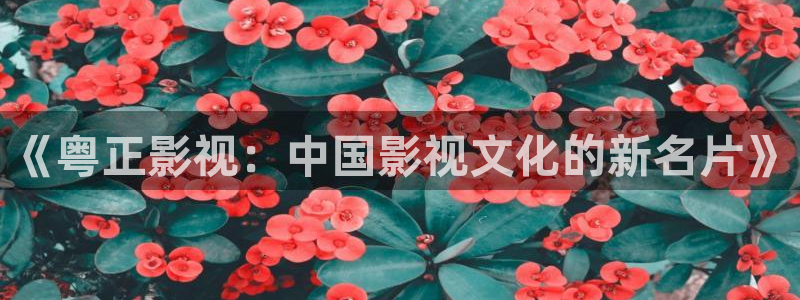 99视频1区：《粤正影视：中国影视文化的新名片》