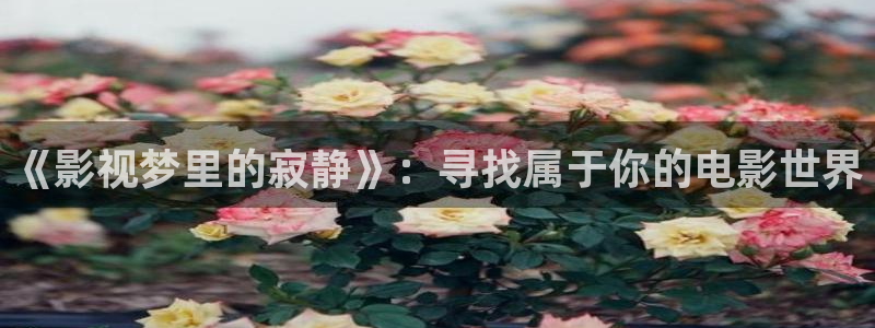 99视频在线观看成人：《影视梦里的寂静》：寻找属于你的电影世界